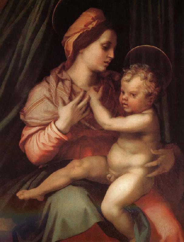 Andrea del Sarto The Virgin and Child Sweden oil painting art